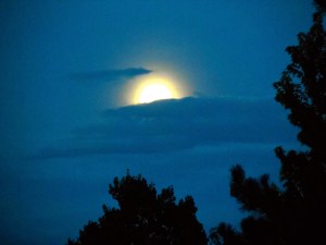 Taken from my back yard at 5:30pm, February 22nd, 2012.  